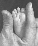 Sensorialité et sexualité en devenant père. Sensorialité et sexualité en devenant père.